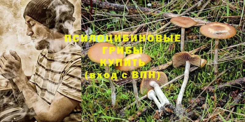 Псилоцибиновые грибы MAGIC MUSHROOMS  Строитель 